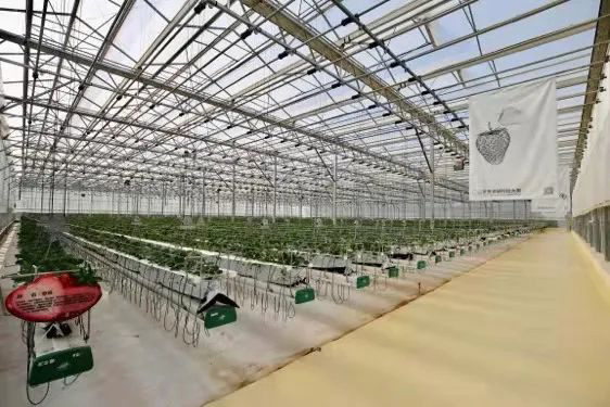 非传统公司拼多多,与黄峥等人捐赠成立的繁星基金会