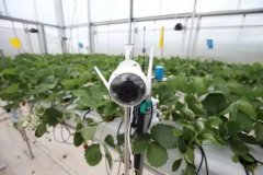 拼多多，与黄峥等人捐赠成立的繁星基金会