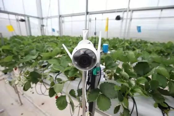 非传统公司拼多多,与黄峥等人捐赠成立的繁星基金会