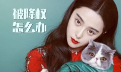 商品被降权了怎么补救[淘宝店铺降权怎么恢复]_老铁SEO外包公司