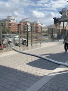 见过最好笑的动图