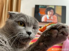 黑暗中看手机对眼睛伤害有多大