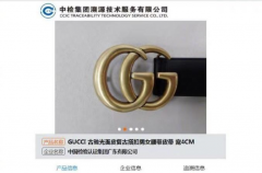 唯品会售假 Gucci 腰带败诉：“得物”等报告不具有资质、缺乏中立性！