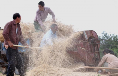 安上高空“科技防护眼睛”，中国铁塔让秸秆焚烧无处藏！