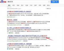 如何在百度中搜到公司网站？ (详解)