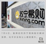 苏宁易购 迎来的不止“涨停”