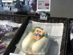 江苏一村庄种出游戏同款太空白茄子