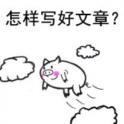 优化推广：
写一篇好文章的核心要领(高质量文章写作解读)