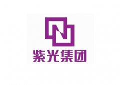 紫光股份：法院裁定受理间接控股股东重整!