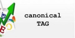优化推广：
canonical标签是什么如何正确使用canonical