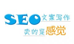 网站优化：
SEO文案撰写独门绝技：手把手教你撰写优质的SEO软文