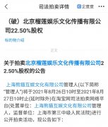 王思聪熊猫互娱拍卖袁成杰公司股权