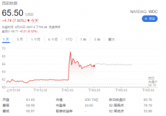 西数拟并购全球第二大闪存芯片厂商铠侠