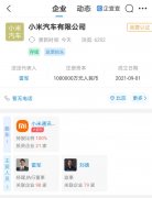 小米汽车商标被驳回，分类涉运输工具、广告销售 为什么呢？