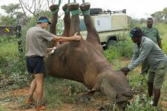 2021 年搞笑诺贝尔奖公布