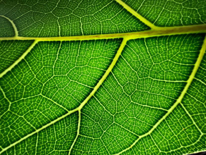 苹果官方解读 iPhone 13 Pro/Max:前所未有的 Pro 级体验