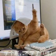 研究生到底研究的是什么