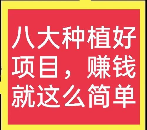 农村致富种值项目有哪些（适合穷人没本钱的养殖）