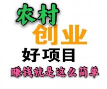 农村致富有哪些价值项目_适合没有资本的贫困群众种植？