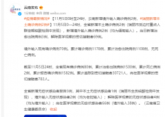 云南瑞丽新增2例确诊病例