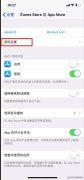 ipad如何下载没有密码的软件_ iPad如何取消下载密码？