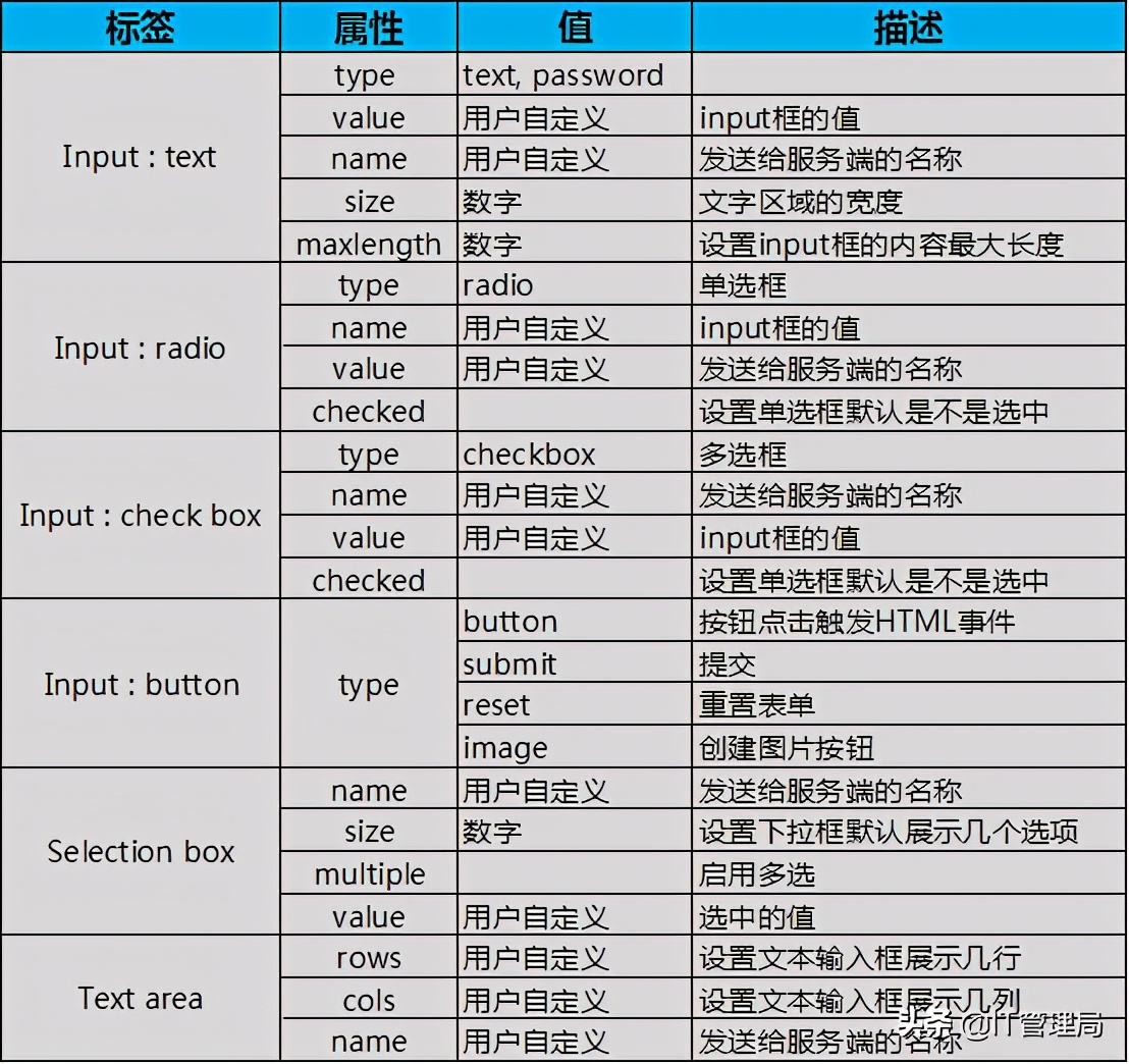 网站seo入门基础教程_网站做seo的步骤有哪些