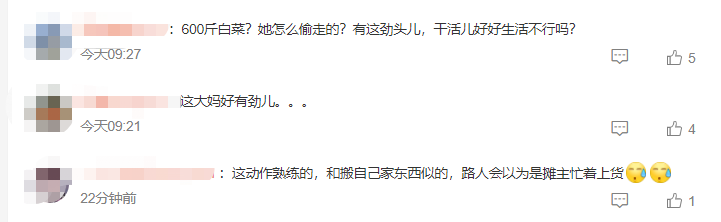 杭州阿姨进货式偷菜再被抓：偷60斤土豆3斤肉，此前曾偷600斤白菜