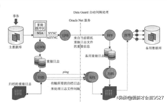 异步传输模式的两种交换技术（光纤分布式数据接口）