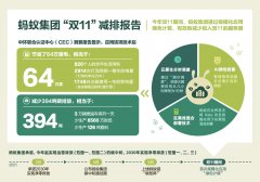 蚂蚁集团发布双 11“绿色计算”减排报告：省电 64 万度