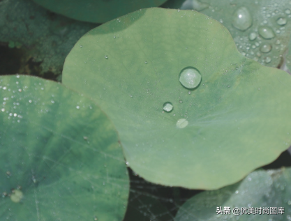 描写雨的句子佳句（描写雨的优美语段短句）