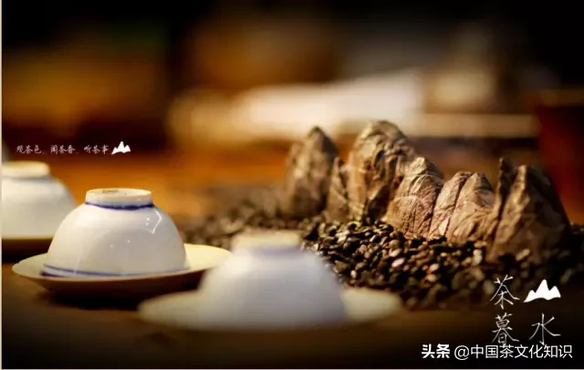 茶文化的经典句子（传承茶文化的经典句子）