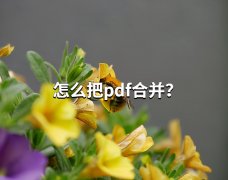 如何将两页pdf合并成一页？手机可以免费合并pdf文件！