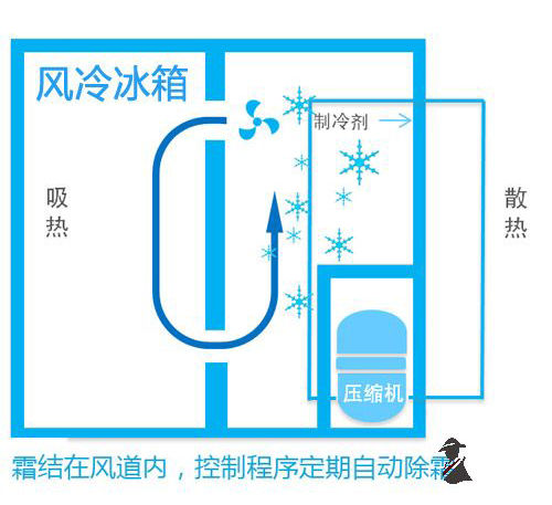 西门子冰箱门怎么拆卸（西门子对开门冰箱型号）