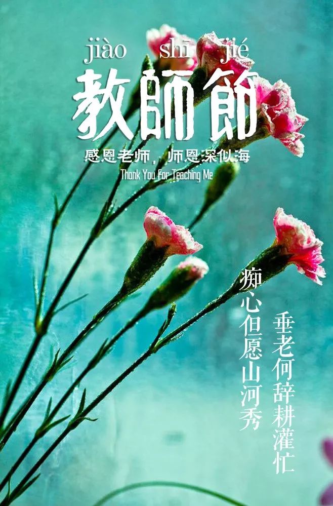 教师赞美诗句和名言（赞美老师的精美语句）