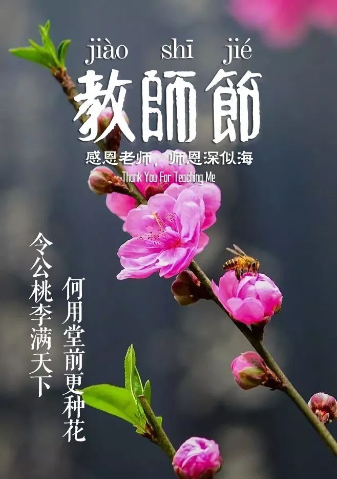 教师赞美诗句和名言（赞美老师的精美语句）